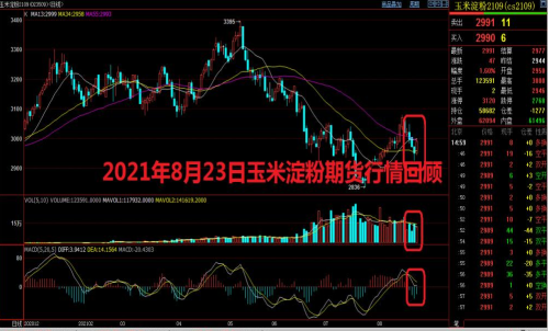 玉米淀粉期貨怎么買(mǎi)?玉米淀粉期貨日